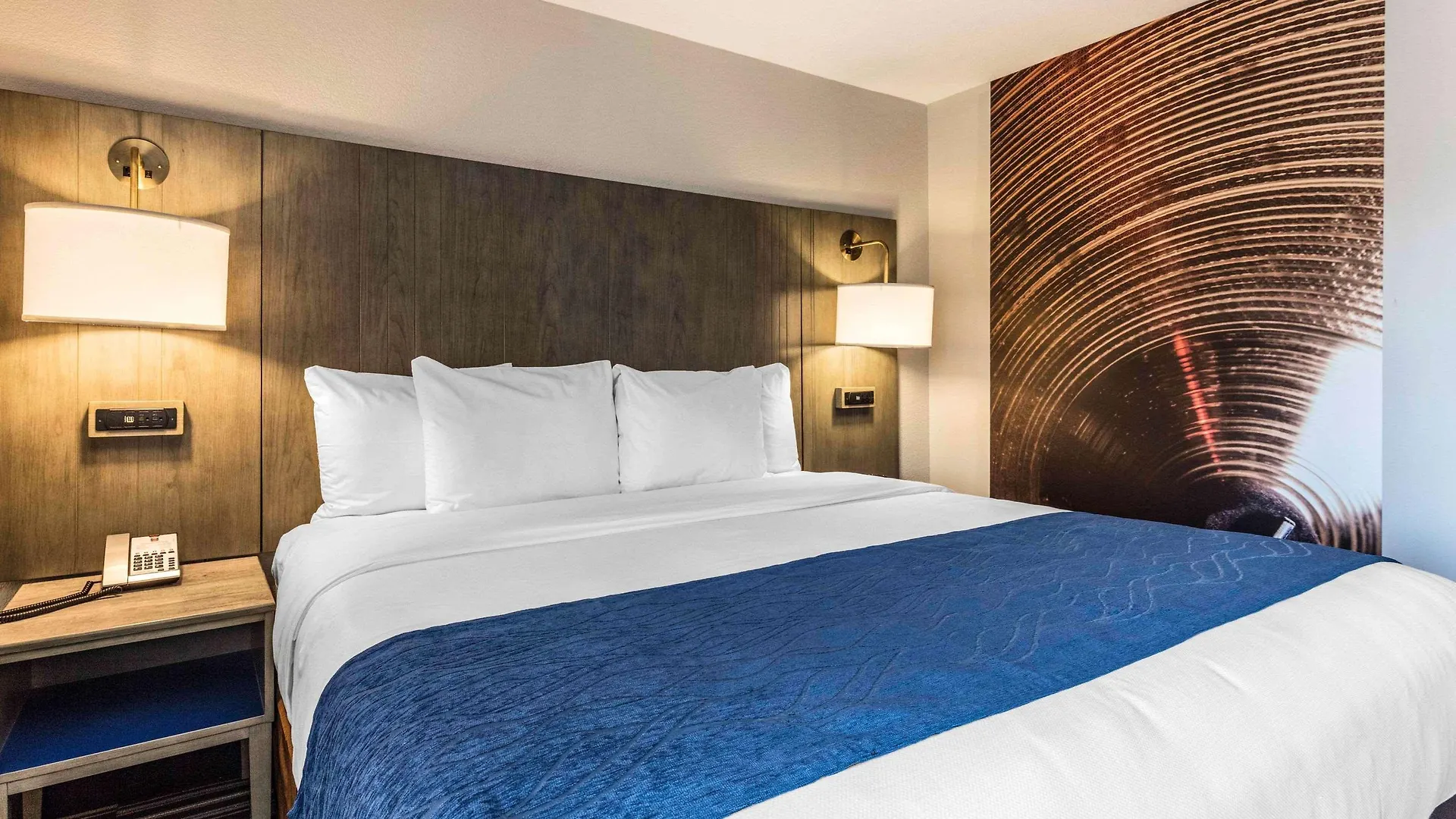 Comfort Inn Airport Memphis United States